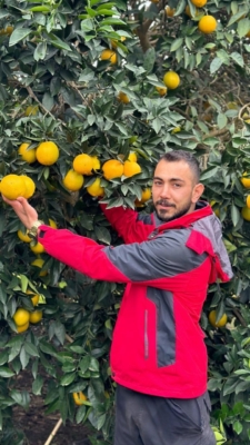 قیمت مناسب و رقابتی