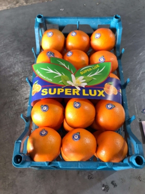 ارسال سریع و مطمئن