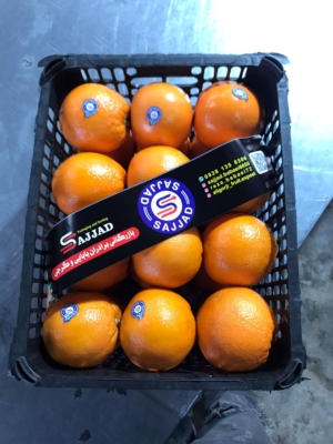 معرفی صادرات میوه علی گرجی در قائم‌شهر