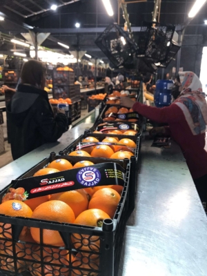 مشاوره تخصصی